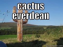 CACTUS EVERDEAN  Misc