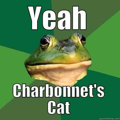 YEAH CHARBONNET'S CAT Foul Bachelor Frog