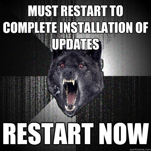 must restart to complete installation of updates restart now  Insanity Wolf