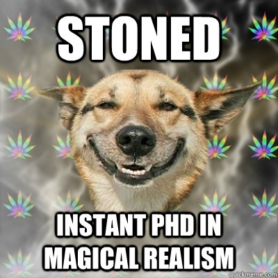 Stoned Instant Phd in magical realism  Stoner Dog