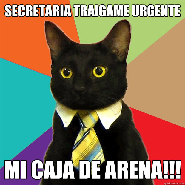 Secretaria traigame Urgente 
 mi caja de arena!!!  Business Cat