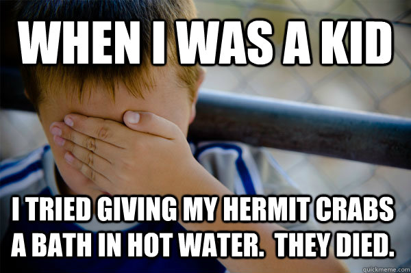 WHEN I WAS A KID I tried giving my hermit crabs a bath in hot water.  They died.  Confession kid