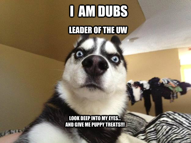 I  am dubs leader of the UW look deep into my eyes... and give me puppy treats!!!  - I  am dubs leader of the UW look deep into my eyes... and give me puppy treats!!!   hypno dubs