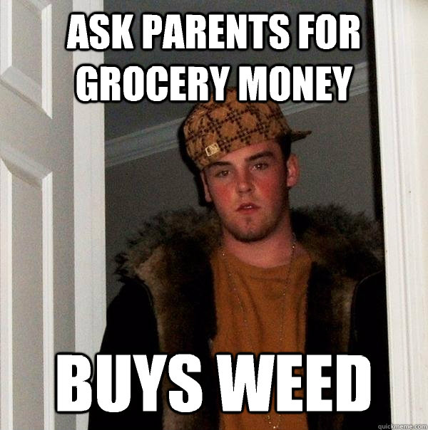 Ask parents for grocery money Buys weed  Scumbag Steve