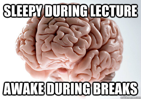 Sleepy during lecture Awake during breaks - Sleepy during lecture Awake during breaks  Scumbag Brain