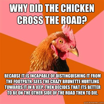 why did the chicken cross the road? Because it is incapable of distinguishing it from the footpath, sees the crazy brunette hurtling towards it in a jeep, then decides that its better to be on the other side of the road then to die. - why did the chicken cross the road? Because it is incapable of distinguishing it from the footpath, sees the crazy brunette hurtling towards it in a jeep, then decides that its better to be on the other side of the road then to die.  Anti-Joke Chicken