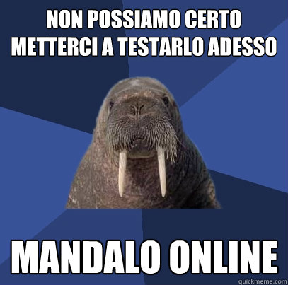 non possiamo certo metterci a testarlo adesso mandalo online  Web Developer Walrus