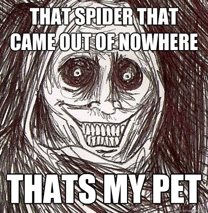 that spider that came out of nowhere thats my pet - that spider that came out of nowhere thats my pet  Horrifying Houseguest