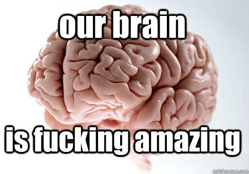 our brain is fucking amazing   Scumbag Brain