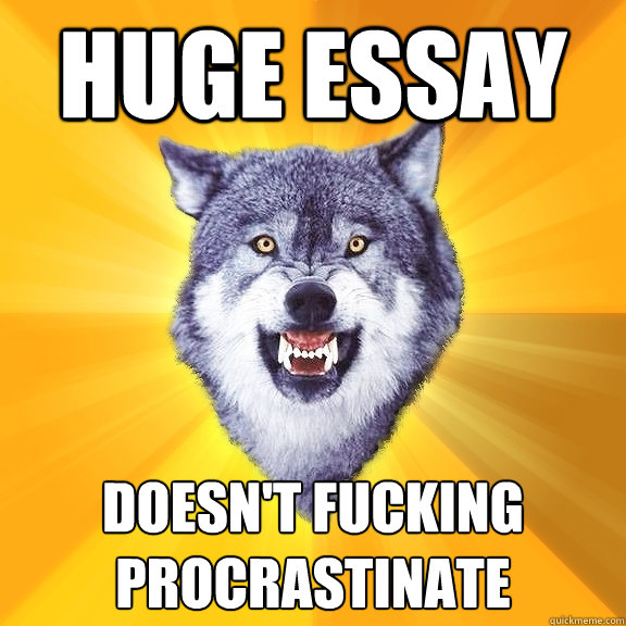 Huge Essay Doesn't fucking Procrastinate   Courage Wolf