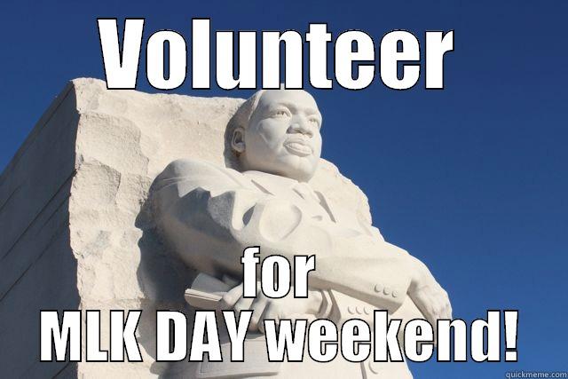 VOLUNTEER FOR MLK DAY WEEKEND! Misc