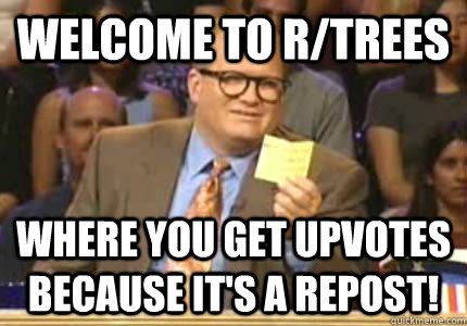 WELCOME TO R/TREES Where you get upvotes because it's a repost!  Whose Line