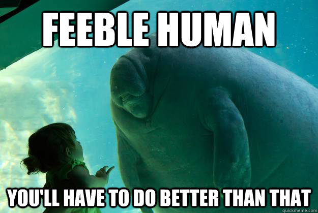 Feeble human you'll have to do better than that  Overlord Manatee