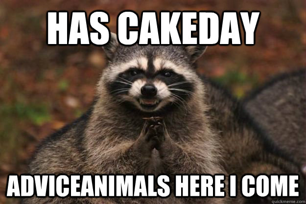 Has cakeday Adviceanimals here i come  Evil Plotting Raccoon