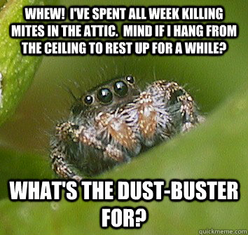 Whew!  I've spent all week killing mites in the attic.  Mind if I hang from the ceiling to rest up for a while? What's the dust-buster for?  Misunderstood Spider