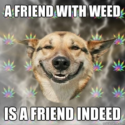 A friend with weed is a friend indeed  Stoner Dog