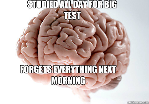 STUDIED ALL DAY FOR BIG TEST FORGETS EVERYTHING NEXT MORNING  Scumbag Brain