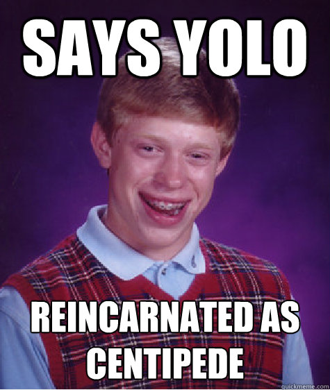 Says Yolo Reincarnated as Centipede Caption 3 goes here  Bad Luck Brian