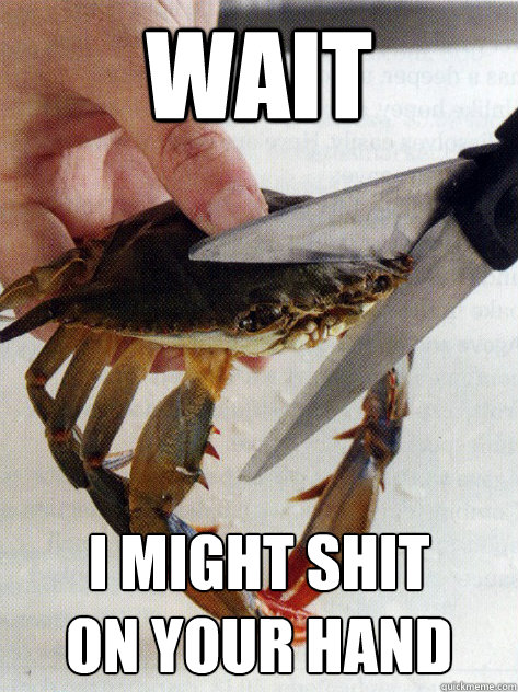 WAIT I MIGHT SHIT 
ON YOUR HAND  Optimistic Crab