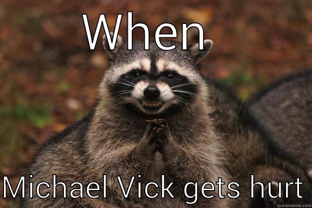 WHEN   MICHAEL VICK GETS HURT Evil Plotting Raccoon