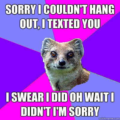 Sorry I couldn't hang out, I texted you I swear I did Oh wait I didn't I'm sorry - Sorry I couldn't hang out, I texted you I swear I did Oh wait I didn't I'm sorry  Stupid Boyfriend Mongoose