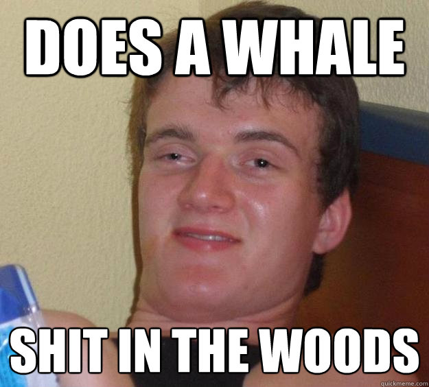 Does a whale shit in the woods  10 Guy