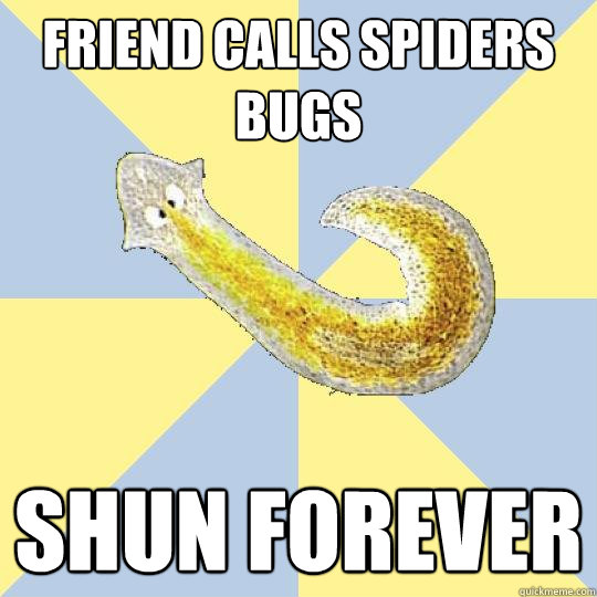 friend calls spiders bugs shun forever  Bio Major Planarian