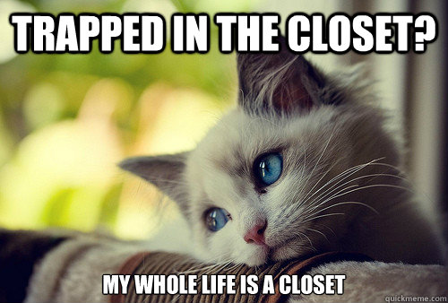 trapped in the closet? my whole life is a closet - trapped in the closet? my whole life is a closet  First World Problems Cat