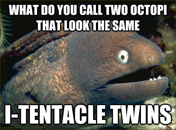 what do you call two octopi that look the same i-tentacle twins - what do you call two octopi that look the same i-tentacle twins  Bad Joke Eel