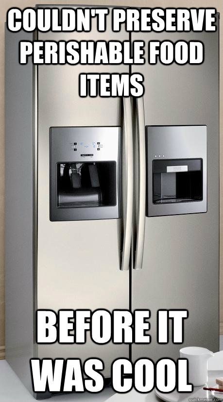 Couldn't preserve perishable food items before it was cool - Couldn't preserve perishable food items before it was cool  Hipster Refrigerator