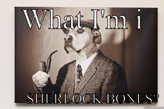 What are u -  WHAT I'M I         SHERLOCK BONES? Misc