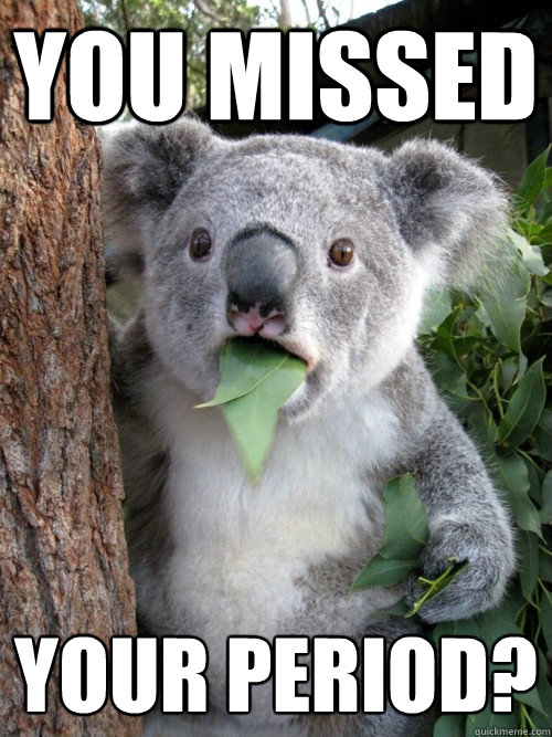 you-missed-your-period-koala-quickmeme