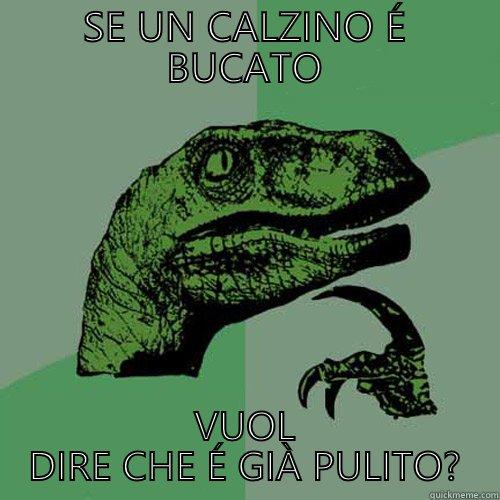 SE UN CALZINO É BUCATO VUOL DIRE CHE É GIÀ PULITO? Philosoraptor