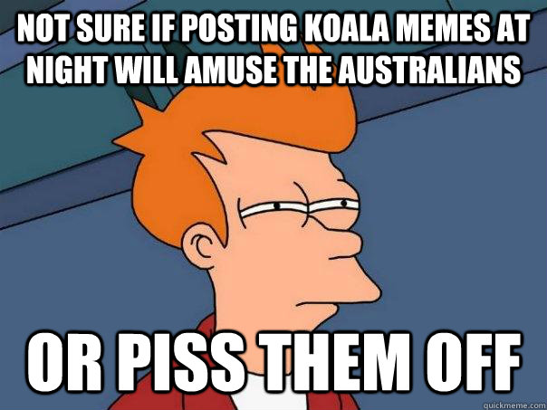 Not sure if posting koala memes at night will amuse the australians or piss them off  Futurama Fry