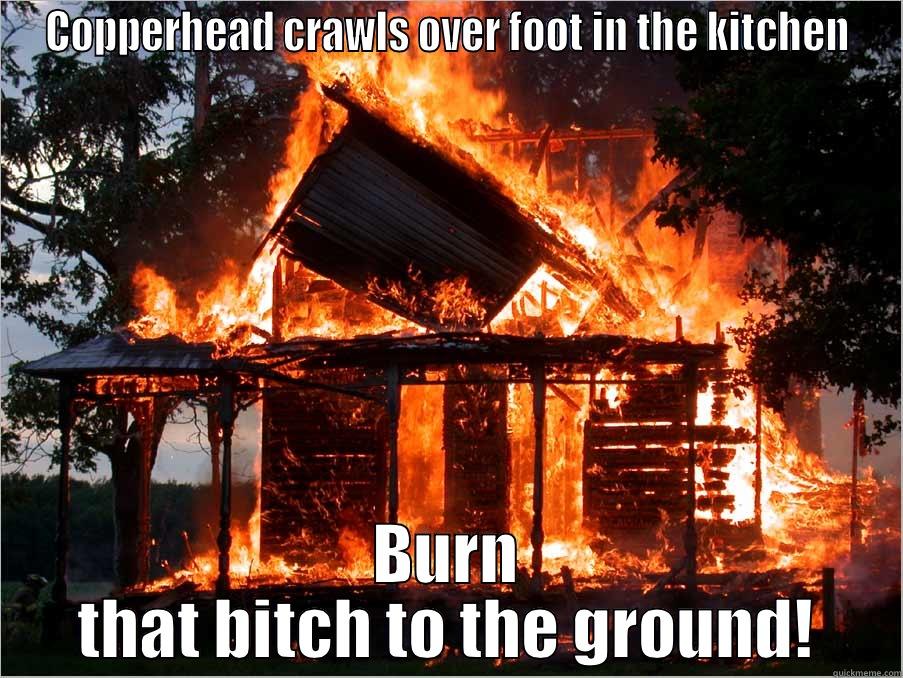 COPPERHEAD CRAWLS OVER FOOT IN THE KITCHEN BURN THAT BITCH TO THE GROUND! Misc