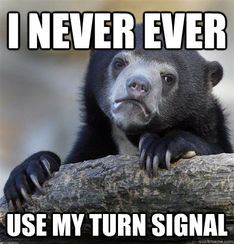 I never ever use my turn signal  Confession Bear