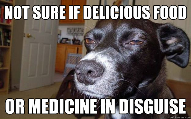 Not sure if delicious food Or medicine in disguise     Skeptical Mutt