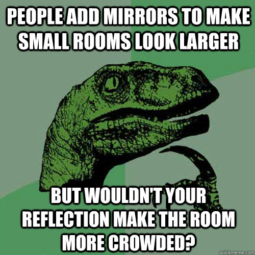 People add mirrors to make small rooms look larger But wouldn't your reflection make the room more crowded?  Philosoraptor