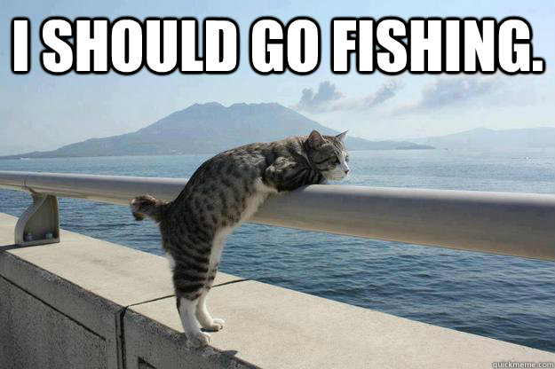 I should go fishing.   - I should go fishing.    Dreaming cat