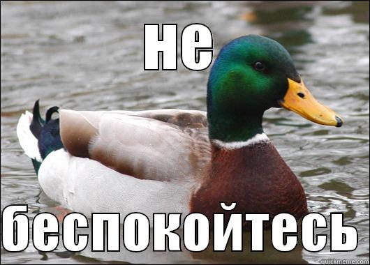 НЕ  БЕСПОКОЙТЕСЬ Actual Advice Mallard