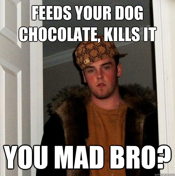 feeds your dog chocolate, kills it You mad bro?  Scumbag Steve