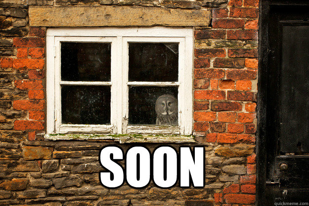 SOON - SOON  SOONOWL