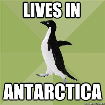 Lives in Antarctica - Lives in Antarctica  Socially Average Penguin