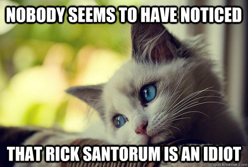 nobody seems to have noticed that rick santorum is an idiot  First World Problems Cat