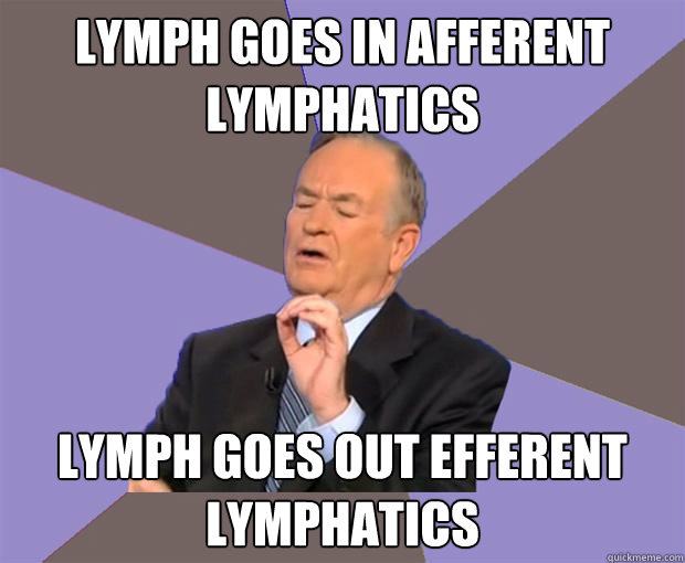 lymph goes in afferent lymphatics lymph goes out efferent lymphatics  Bill O Reilly