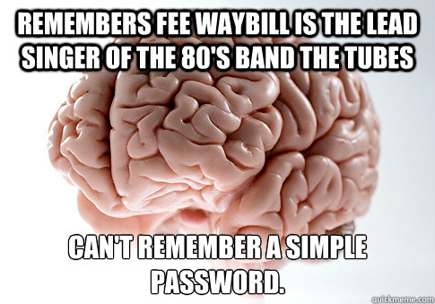 Remembers Fee Waybill is the lead singer of the 80's band the tubes Can't remember a simple password.   Scumbag Brain