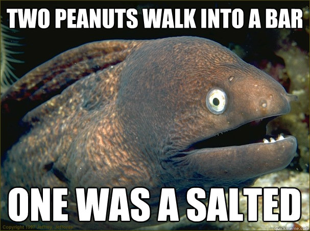 two peanuts walk into a bar one was a salted - two peanuts walk into a bar one was a salted  Bad Joke Eel