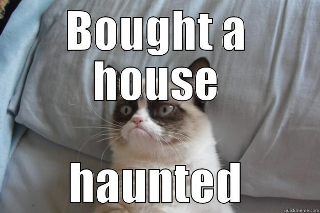 BOUGHT A HOUSE HAUNTED Grumpy Cat