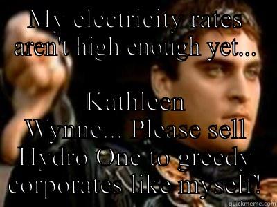 MY ELECTRICITY RATES AREN'T HIGH ENOUGH YET... KATHLEEN WYNNE... PLEASE SELL HYDRO ONE TO GREEDY CORPORATES LIKE MYSELF! Downvoting Roman