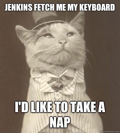 Jenkins fetch me my keyboard I'd like to take a nap  Aristocat